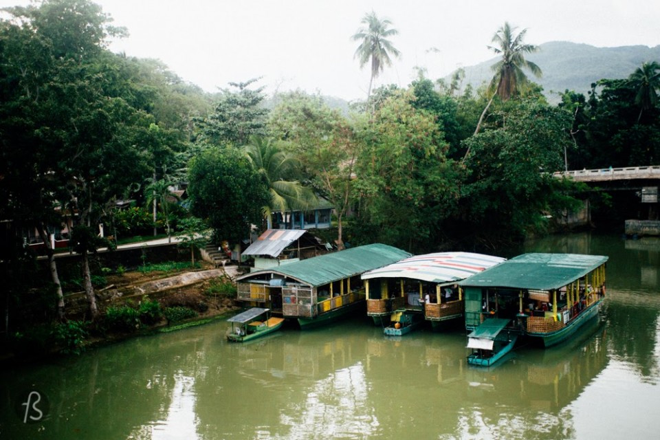The Loboc River is a giant and beautiful river crossing Bohol. It is born in the middle if the island, but when it gets closer to the village of Loboc, is where the action starts. There are floating restaurants that can take you along the river showing you everything. Some even have locals dancing traditional music. If you think this is a bit boring, you can try to do the river by SUP (stand up paddling). I didn't do that since I only found out about it after I left Bohol. I know, really sad. Loboc River's nature is fantastic. It is a must do while you're in Bohol.