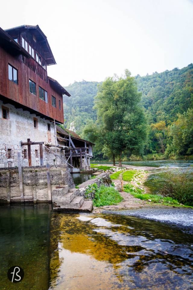 things to do in slovenia -Domačija Kuzma is a working watermill in Pobrežje, a city district of the City Municipality of Maribor in northeastern Slovenia. The complex is not only about the watermill, tho. You can swim the clear water river, explore the area by kayak or just enjoy the countless photos opportunities this place has to offer. The history behind this family run watermill is super interesting too. The lovely daughter of the owner showed us everything around it and told us a bit about how a watermill works. It is incredible to see how people used to prepare food, all the machines and everything else. If you're lucky, the lovely Mike will show up to make your day a bit better. Mike comes from Mike Tyson, ok people? This lovely cat is a fighter and if you see him hurt, it is because he is the "guard dog" of the place. His owner told me that there is a fox that sometimes wanders around the area and for Mike, his house is not open for fox visitation. So he hunts and fights the shit out of this fox. And for some reason, the small cat always wins. Tough - and lovely - , little fellow.