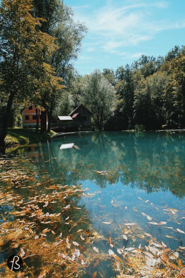 river krupa big berry camp - glamping - things to do in slovenia