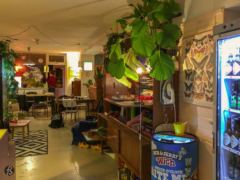Hostel Ani & Haakien: The Coolest place to stay in Rotterdam