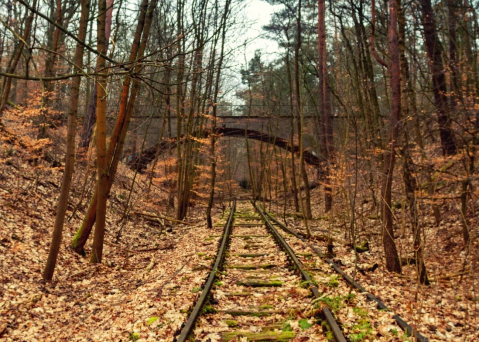The Bridge in Dark and the abandoned train tracks