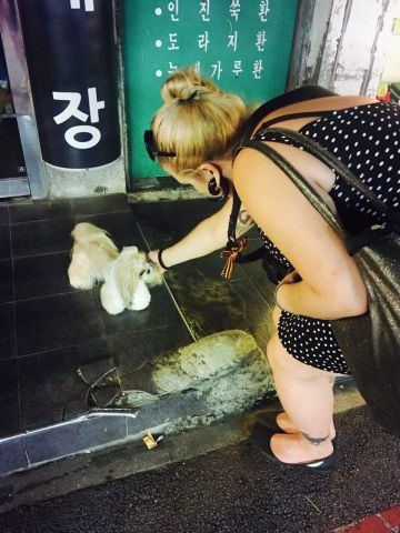 marcela faé and a dog near Gyeongbokgung