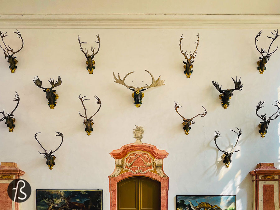 In the 1500s, Duke Moritz had a hunting lodge close to Dresden, and his club was decorated with hunting trophies. The Moritzburg Castle was named after him. The four-round towers that we can see around the castle today come from the hunting lodge era. They were connected to each other by a defensive wall.