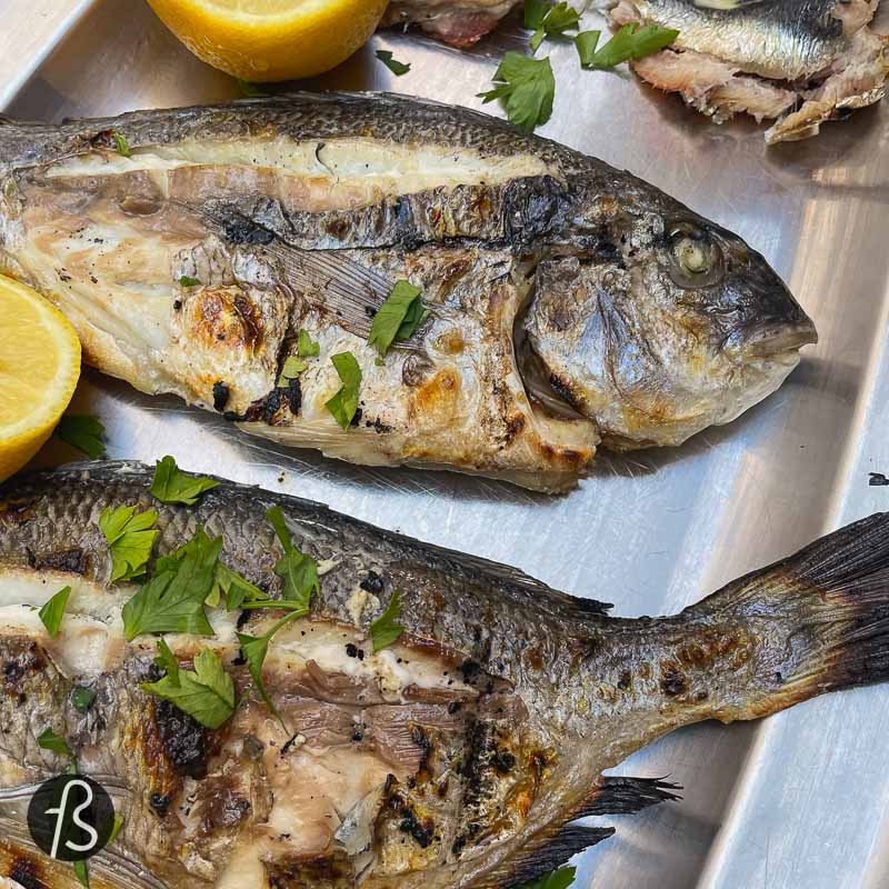 You will see that Felipe and I have no clue what the two big ones are, but they were both cooked to perfection, super juicy and flavorful; the same goes for the small anchovies that never let us down in any of the Greek islands.